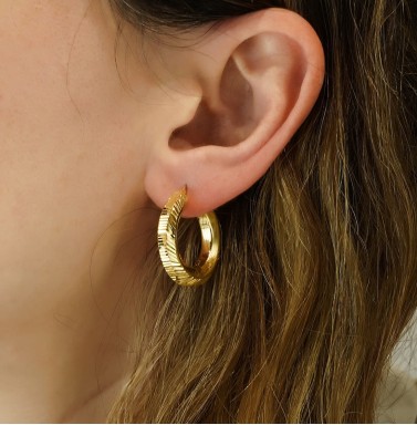 Hoops earrings 66123